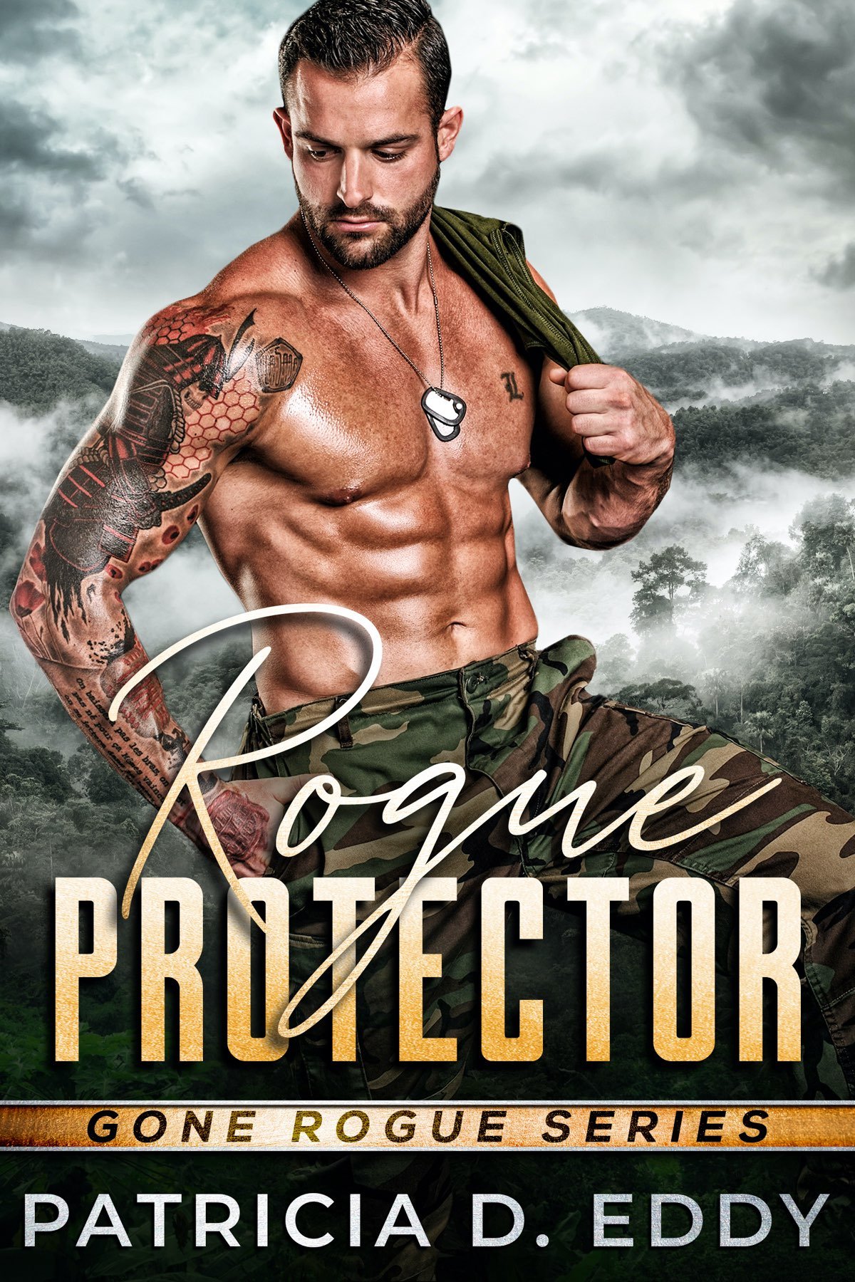 Cover of Rogue Protector