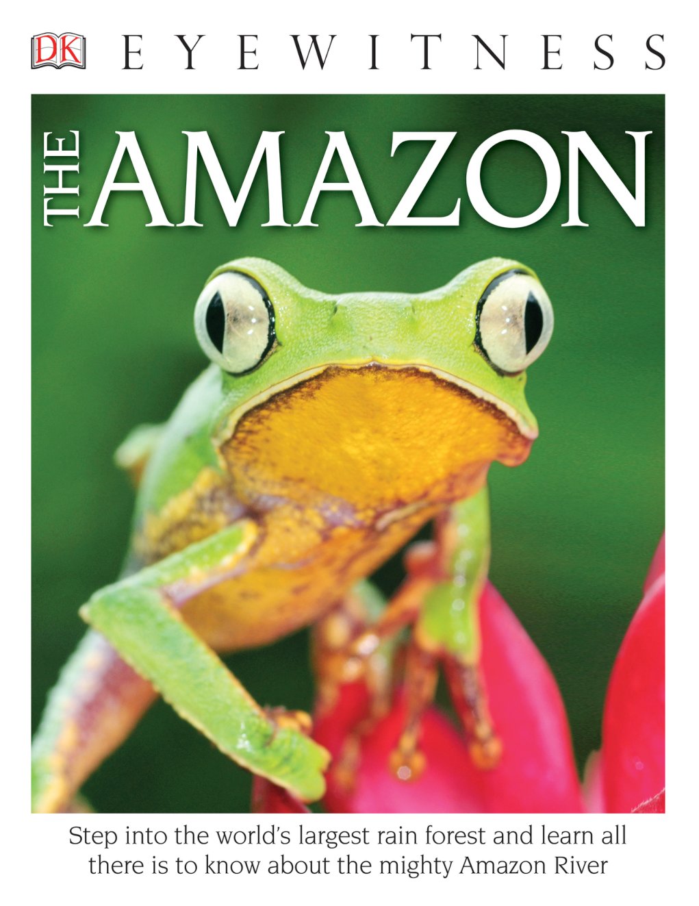 Cover of The Amazon