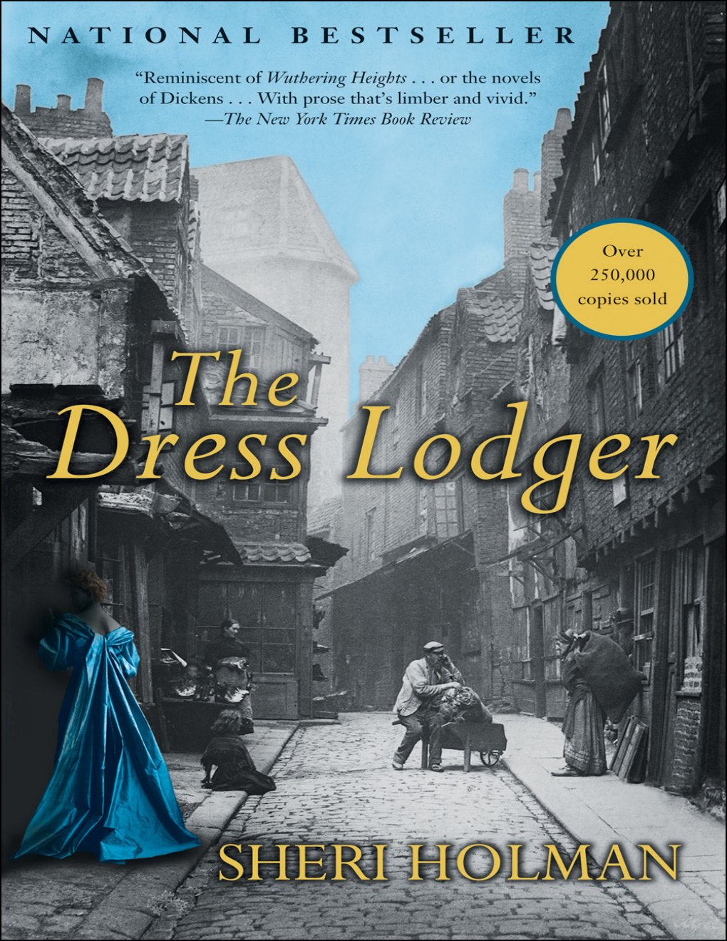 Cover of The Dress Lodger