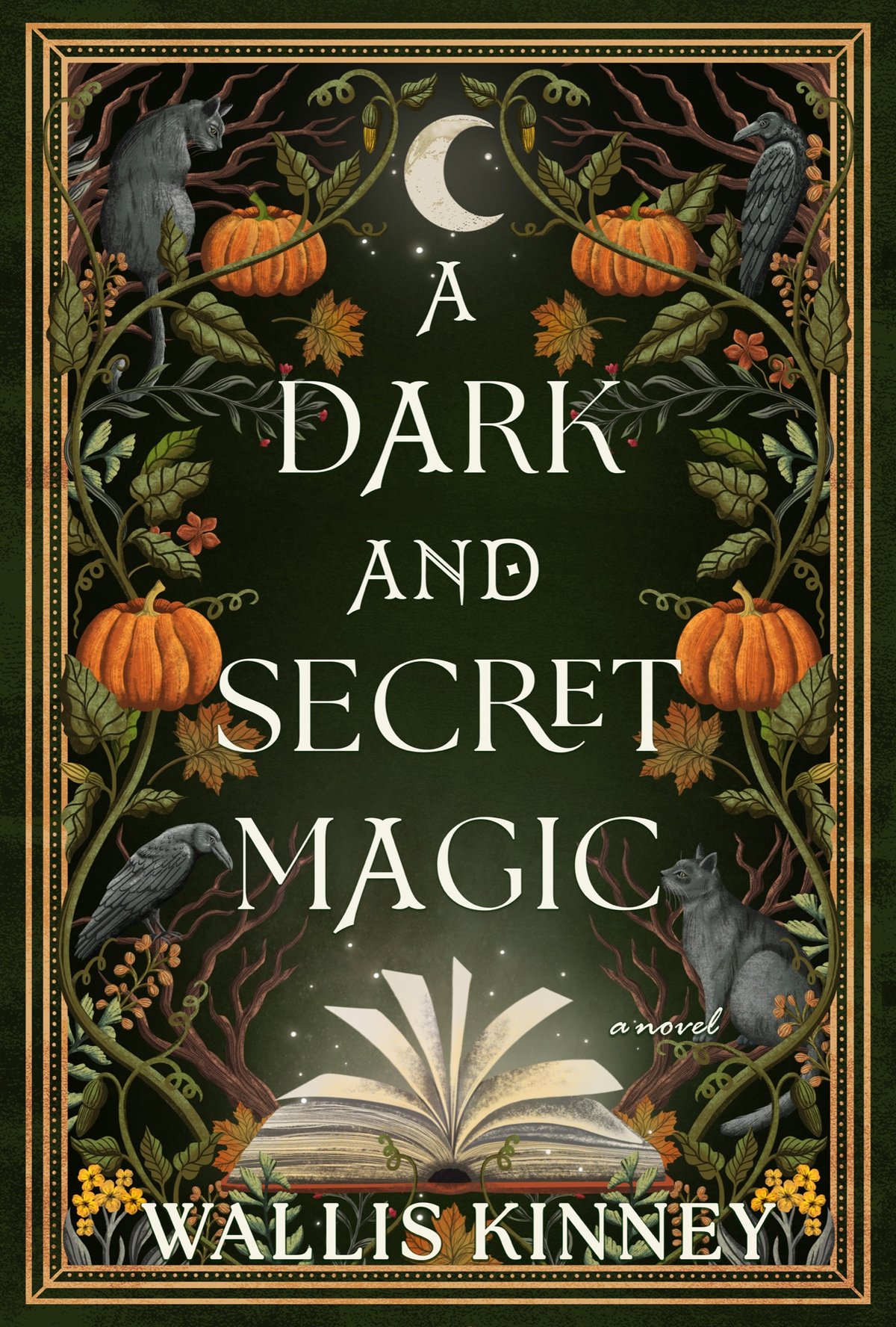 Cover of A Dark and Secret Magic