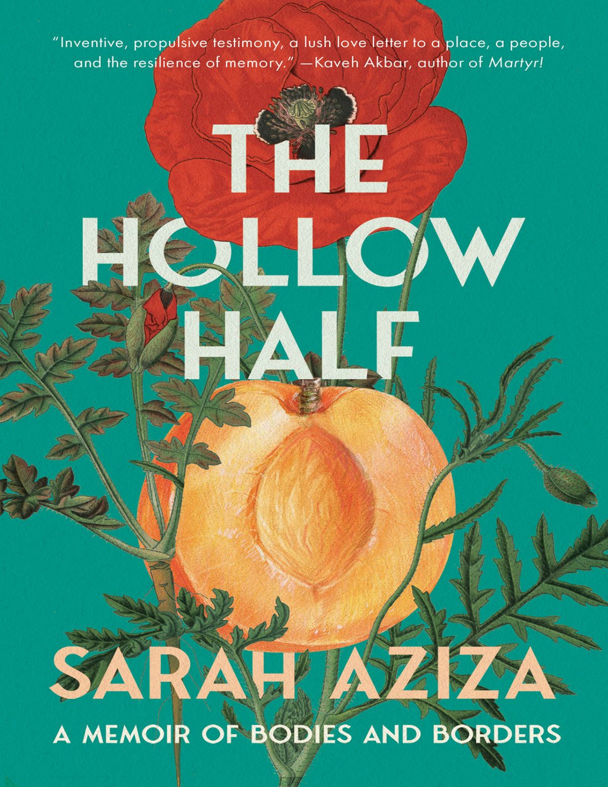 Cover of The Hollow Half (1967)