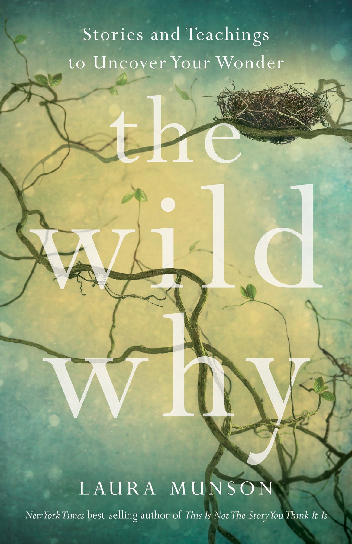 Cover of The Wild Why (1569)