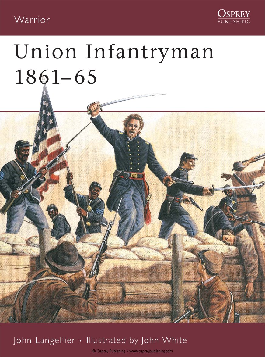 Cover of WAR 31.pdf