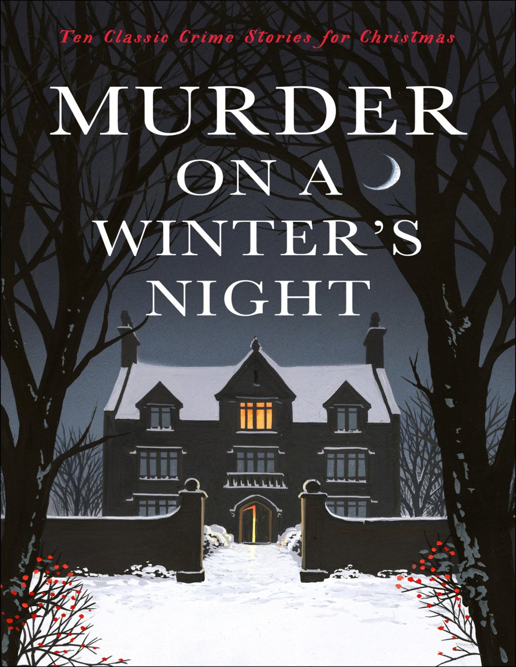 Cover of Murder on a Winter's Night