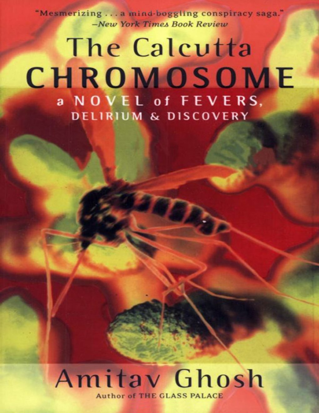 Cover of The Calcutta Chromosome