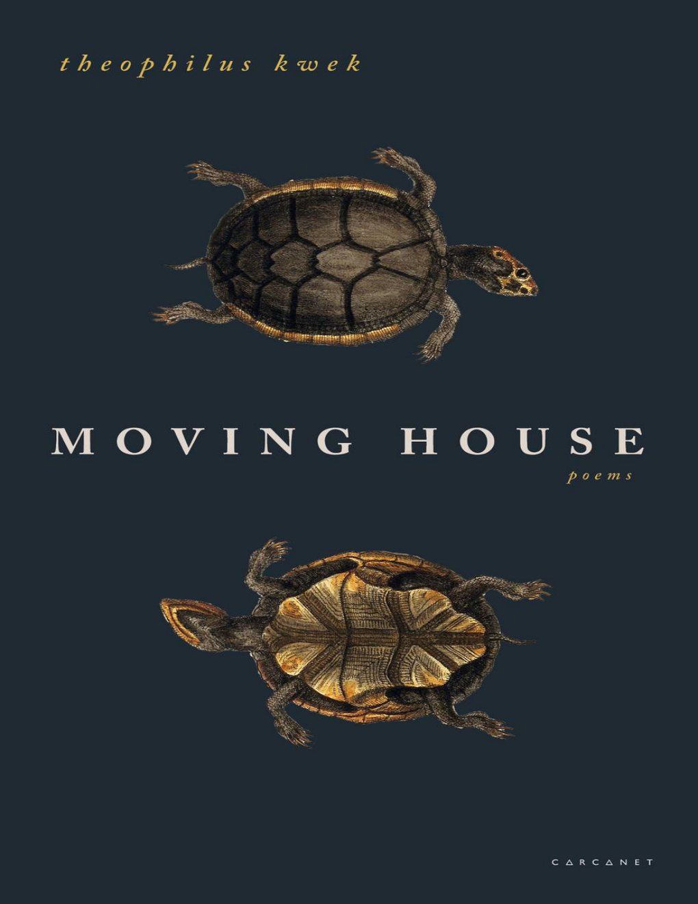 Cover of Moving House