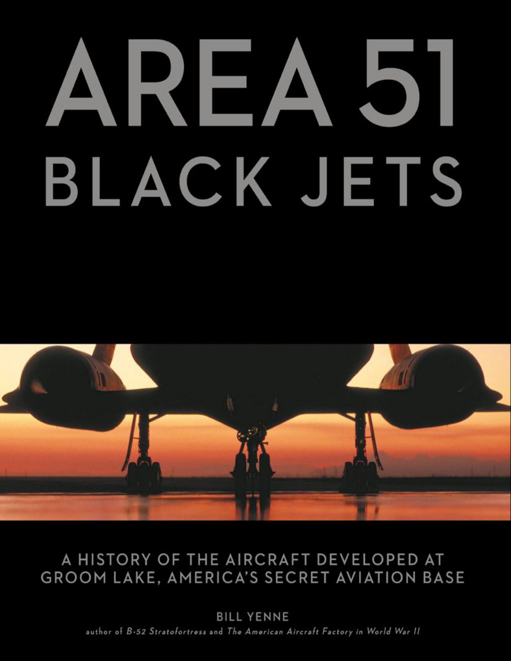 Cover of Area 51, Black Jets