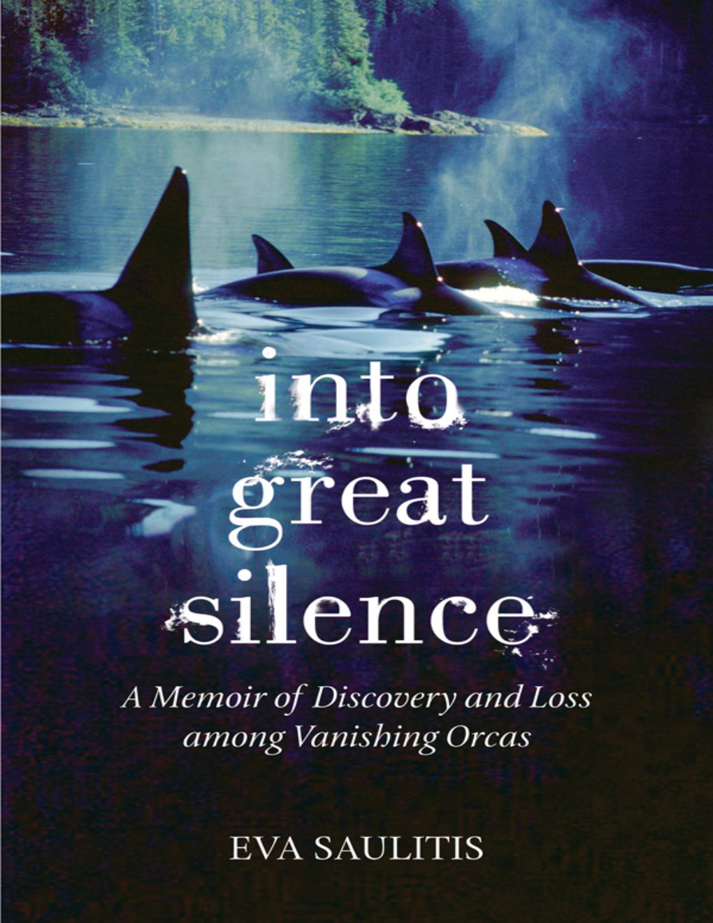 Cover of Into Great Silence