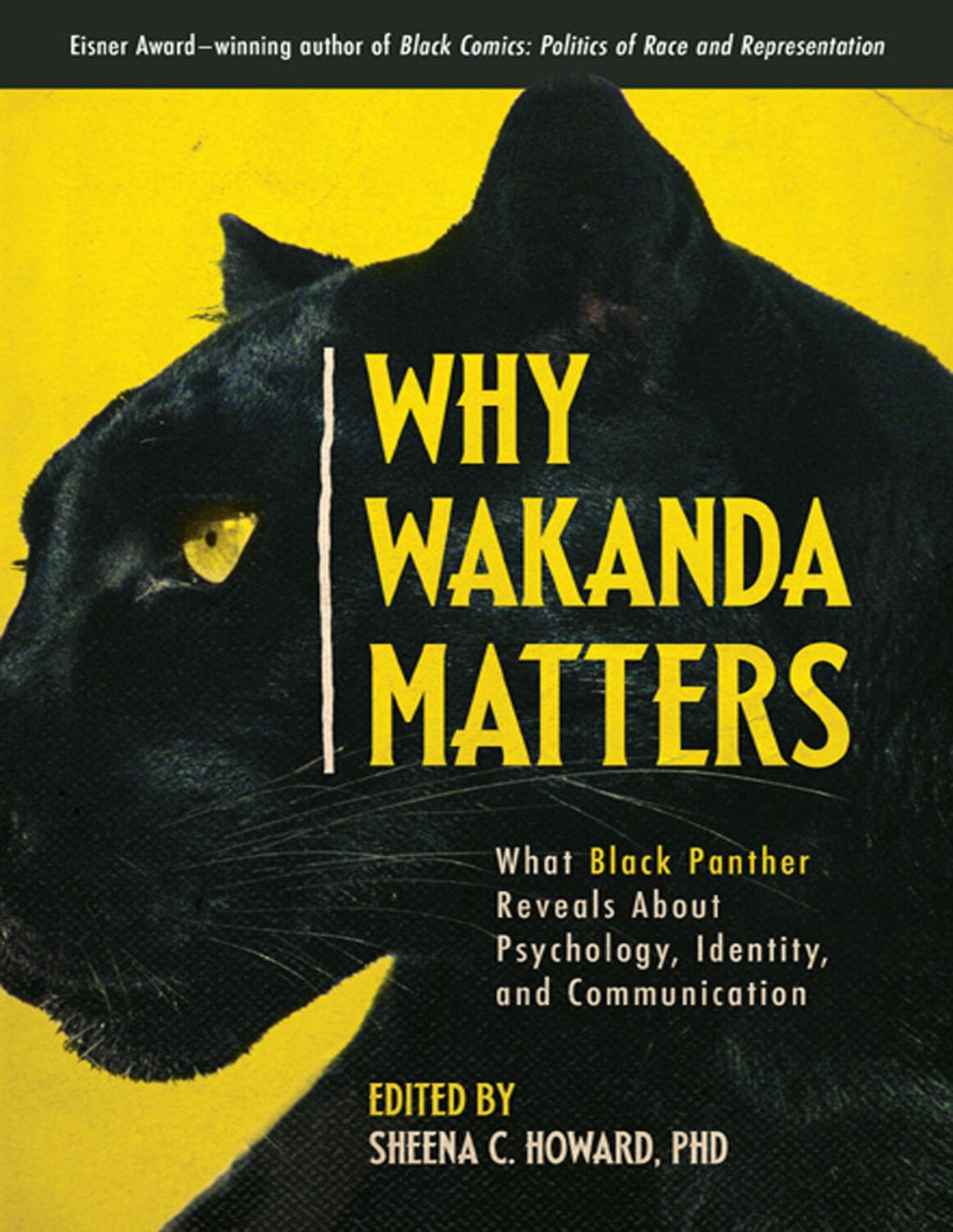 Cover of Why Wakanda Matters