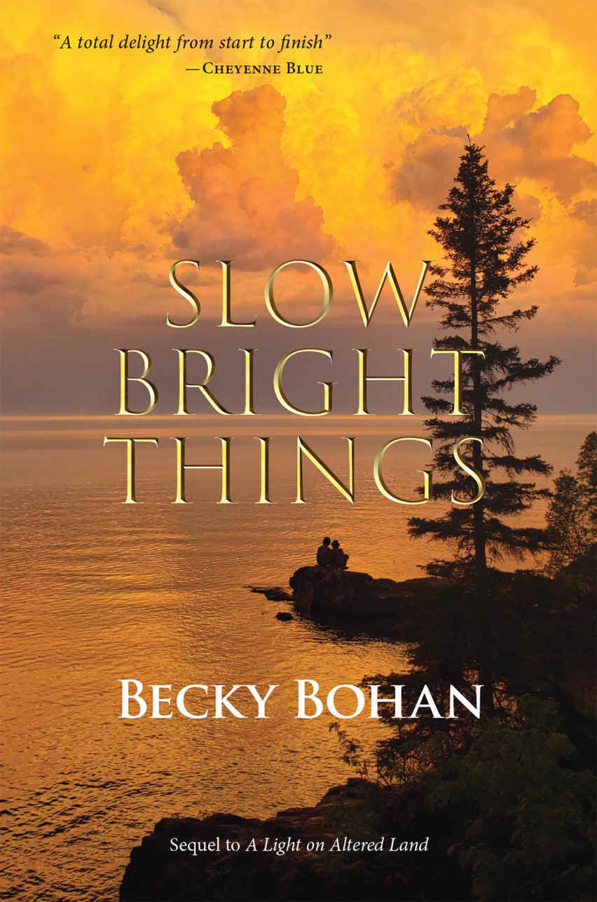 Cover of Slow Bright Things
