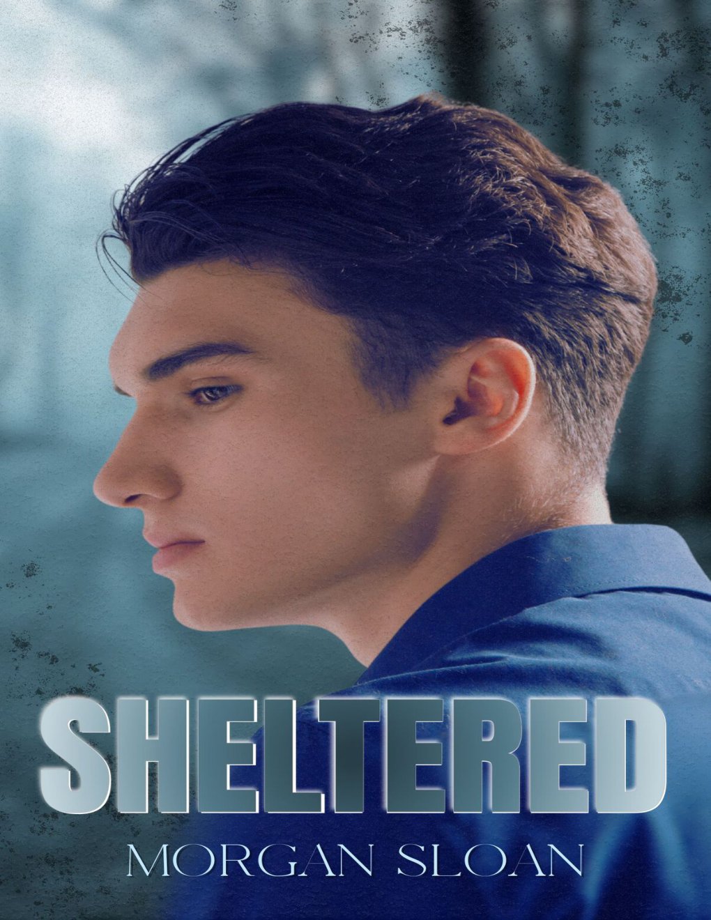 Cover of Sheltered