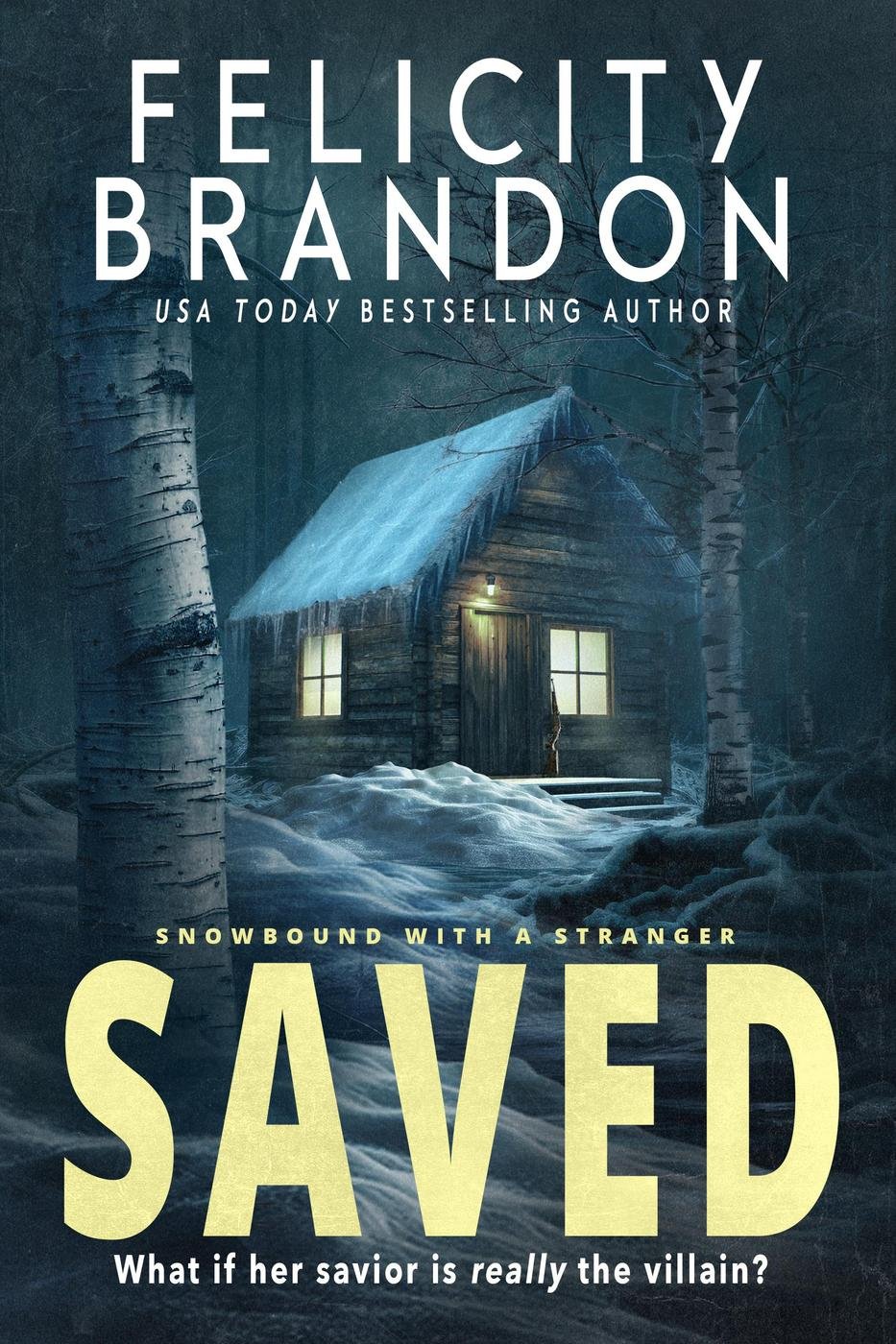 Cover of Saved