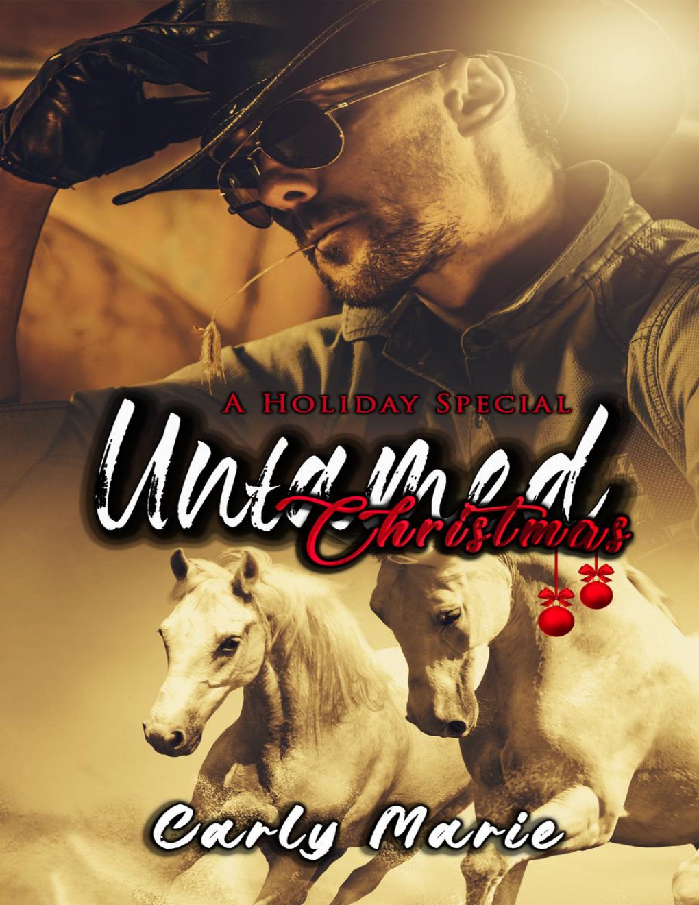 Cover of Untamed Christmas