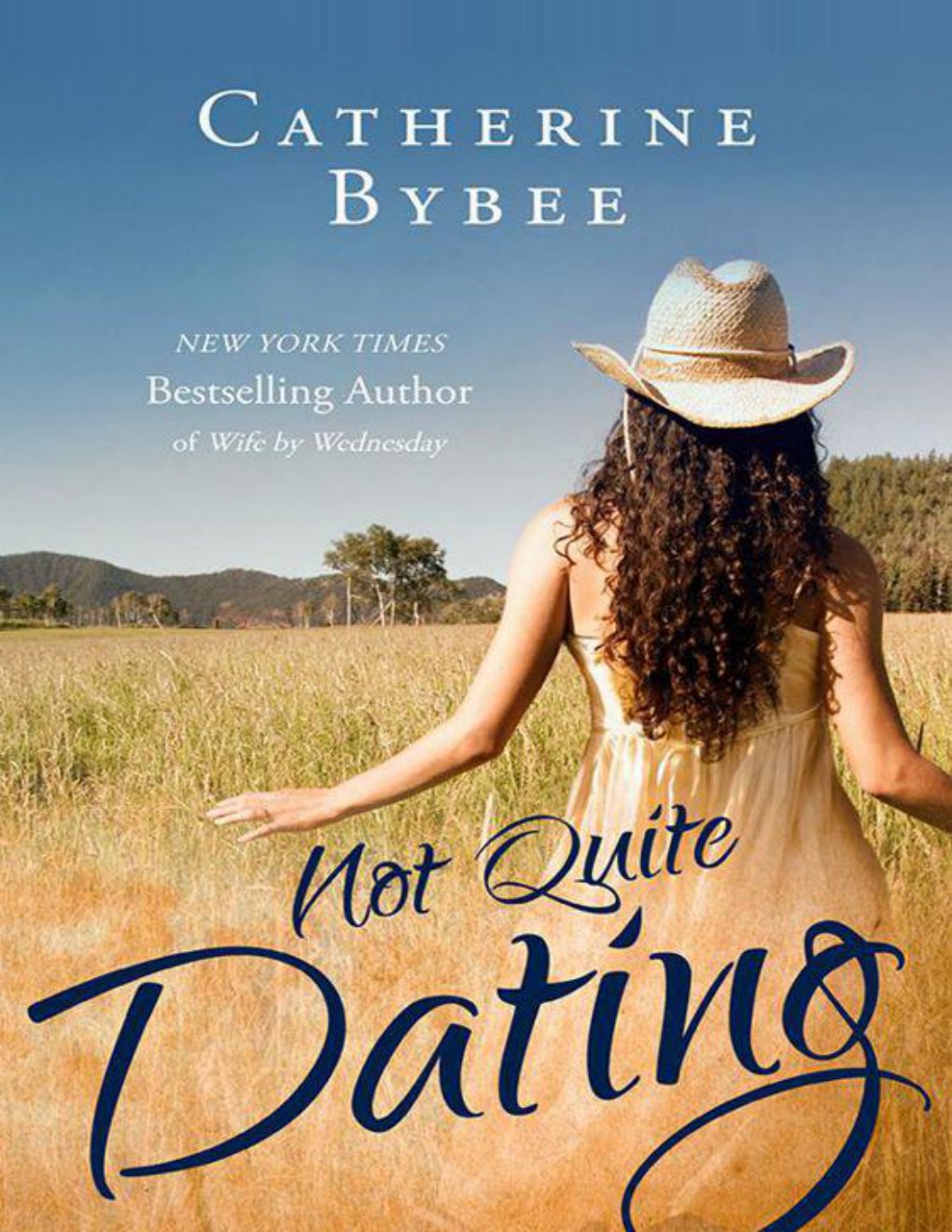 Cover of Not Quite Dating