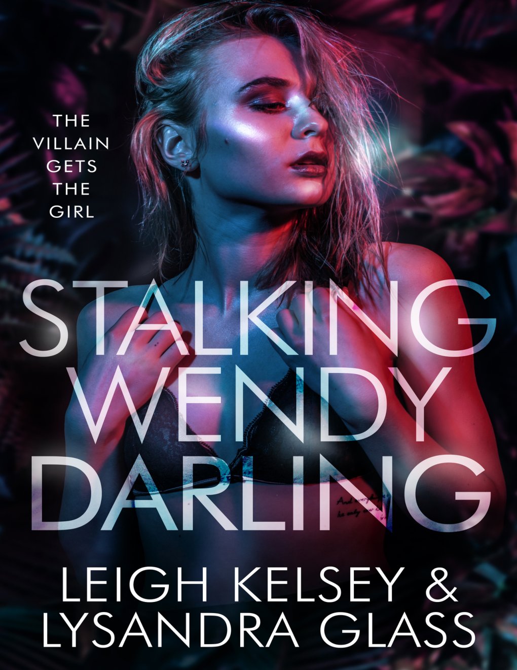 Cover of Stalking Wendy Darling
