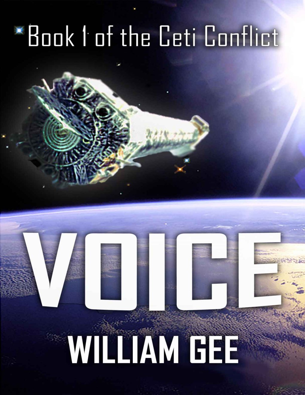 Cover of Voice