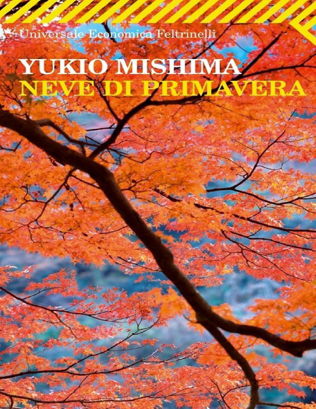 Cover of Neve Di Primavera