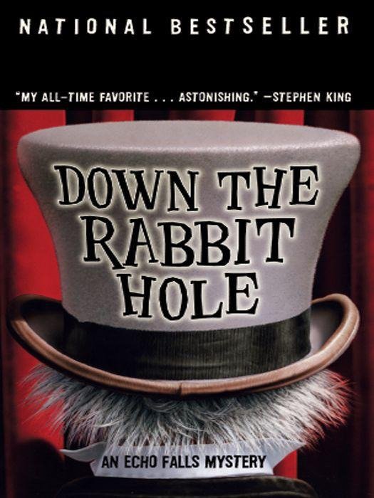 Cover of Down the Rabbit Hole (2005)