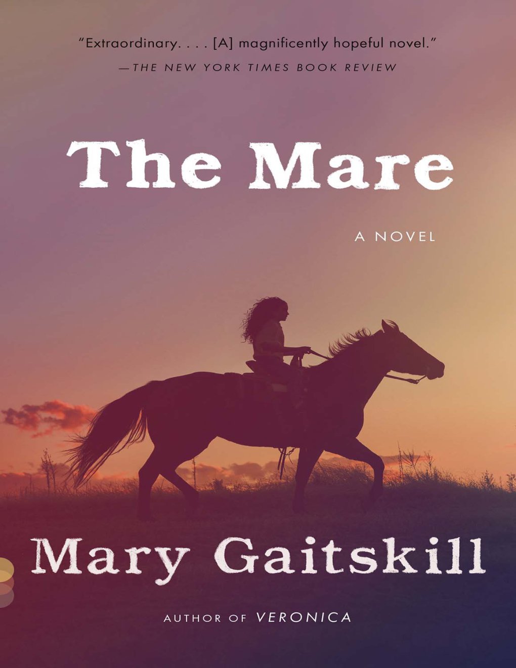 Cover of The Mare