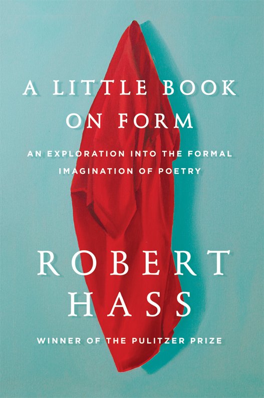 Cover of A Little Book on Form