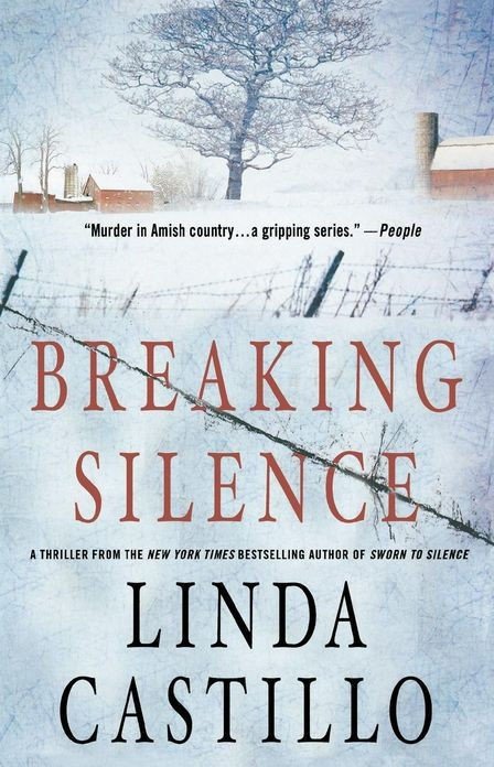 Cover of Breaking Silence