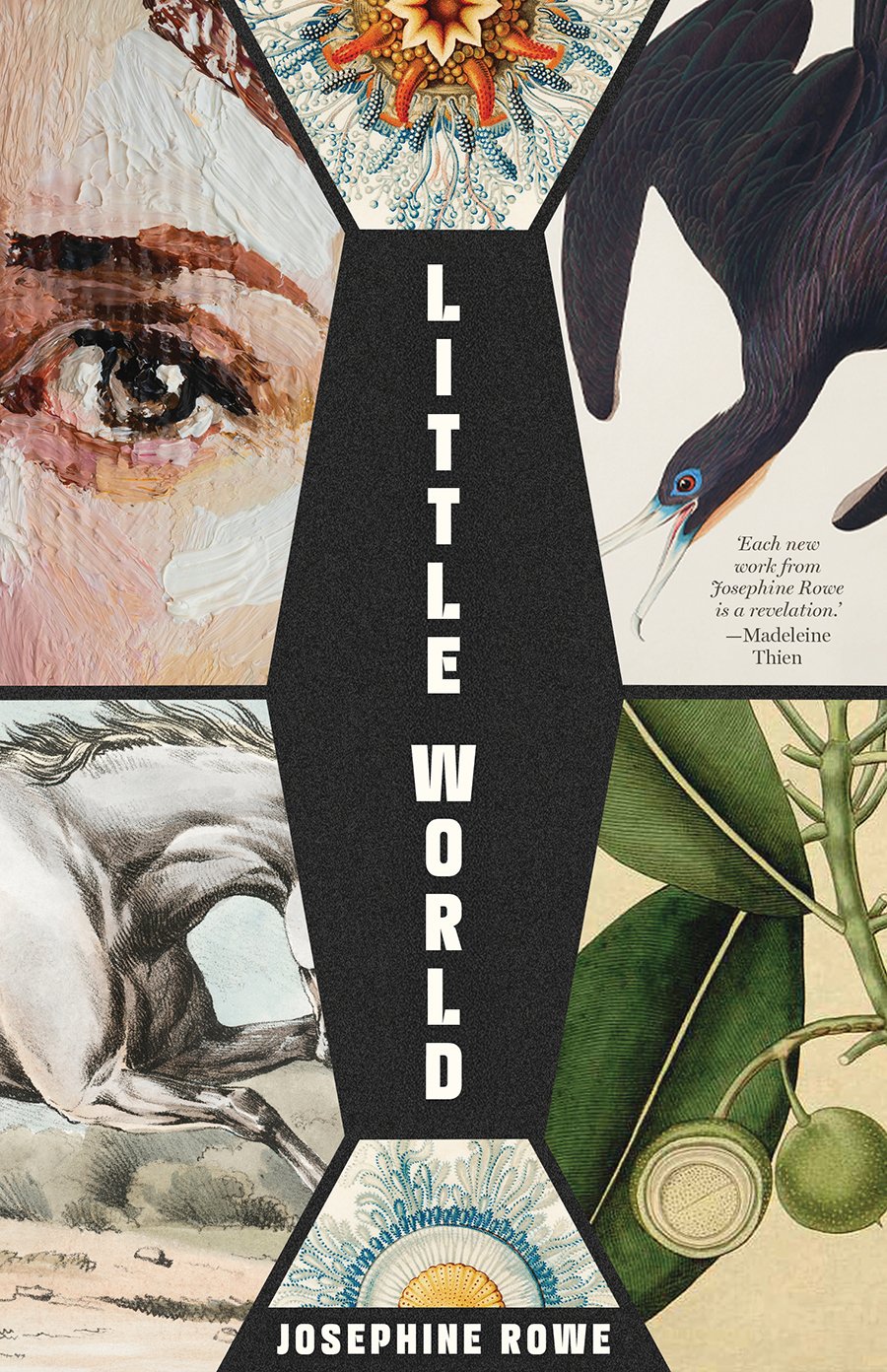 Cover of Little World