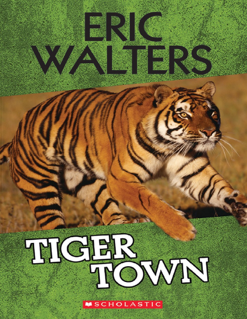 Cover of Tiger Town