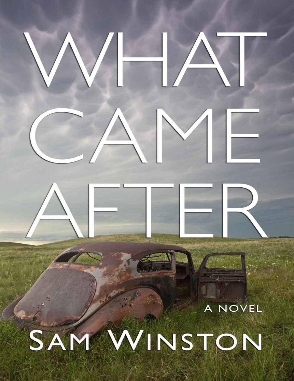 Cover of What Came After (2011)
