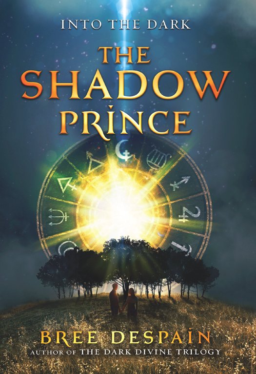 Cover of The Shadow Prince