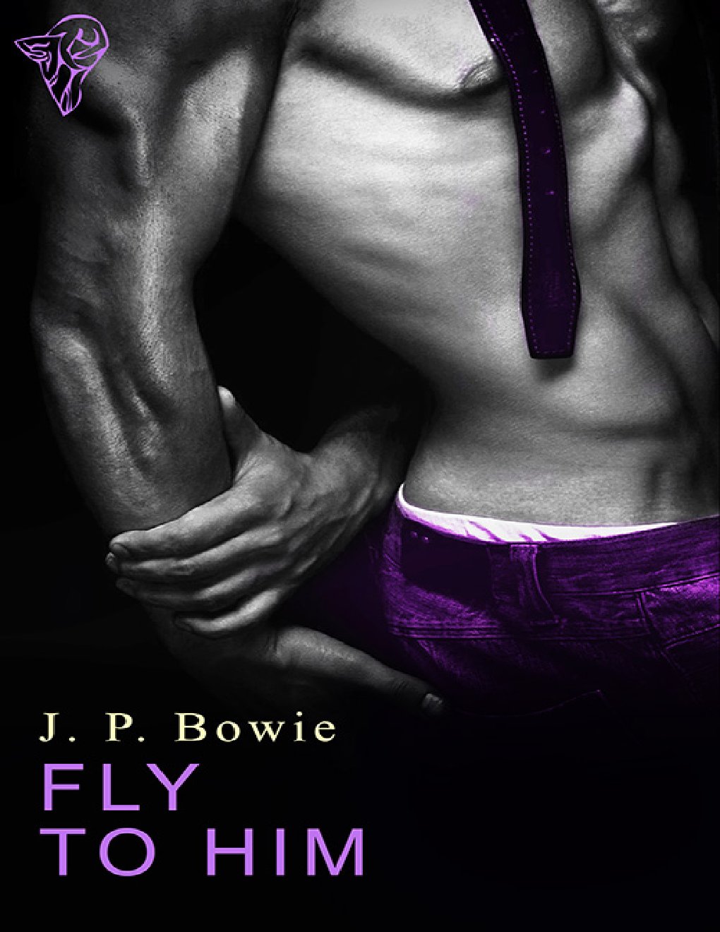Cover of Fly to Him