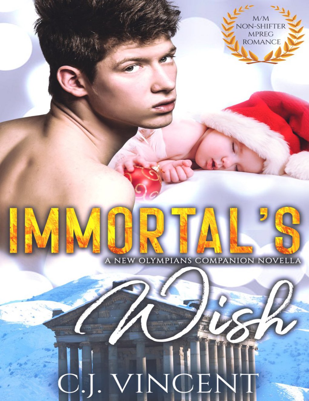 Cover of Immortal's Wish