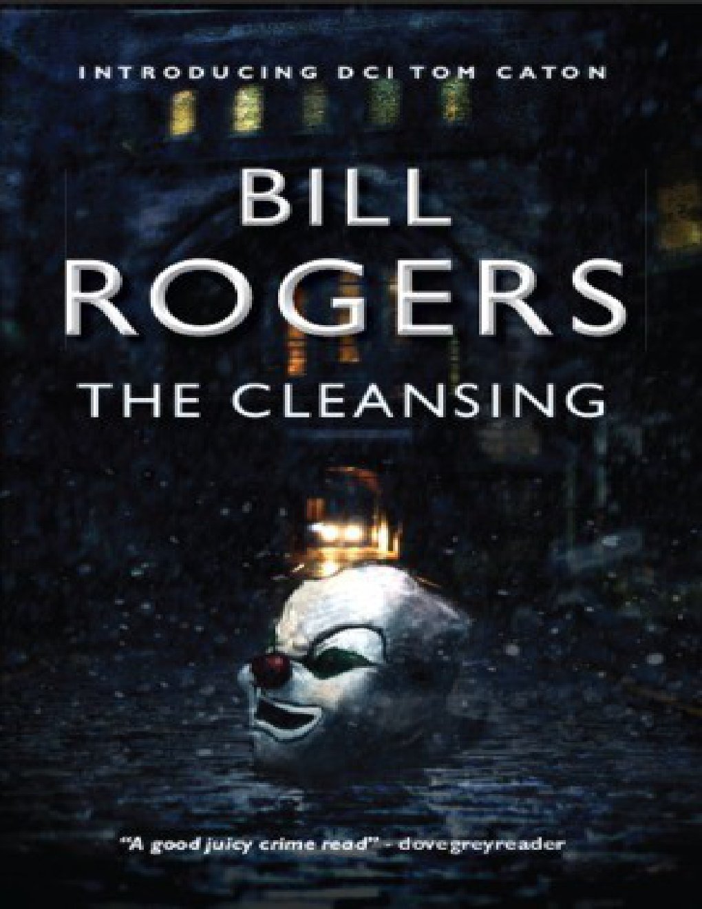 Cover of The Cleansing