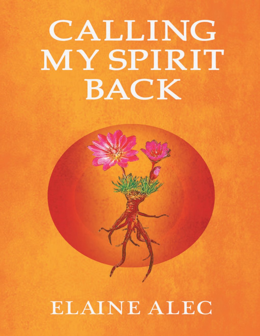 Cover of Calling My Spirit Back (2020)