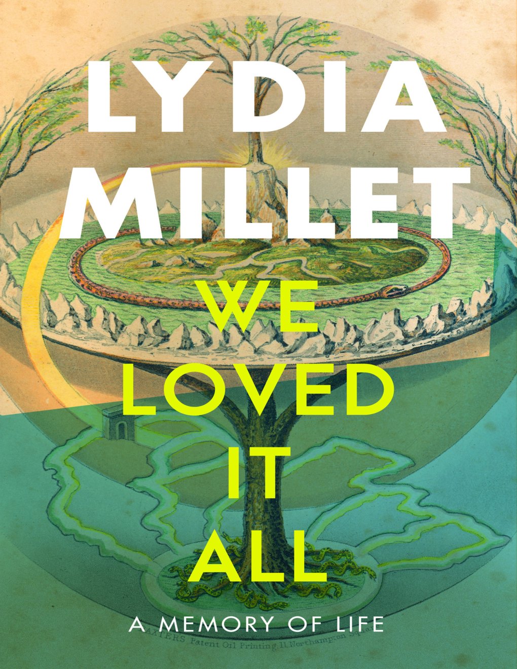 Cover of We Loved It All