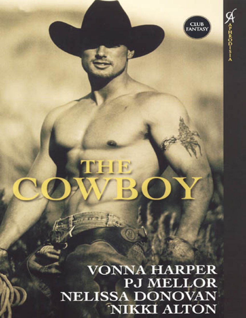 Cover of The Cowboy