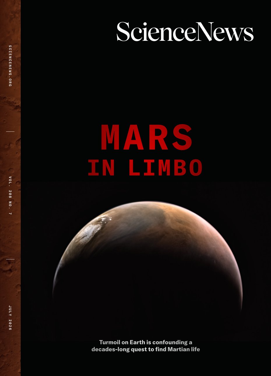 Cover of IN LIMBO