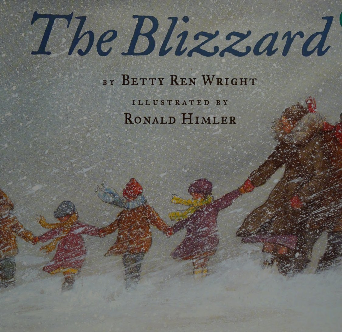 Cover of The blizzard