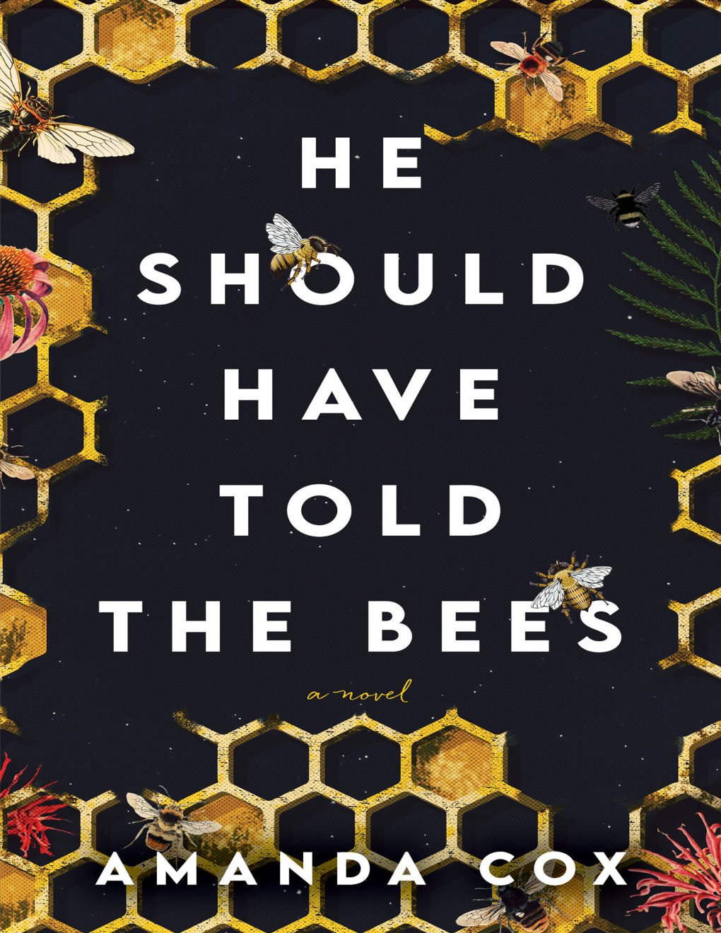 Cover of He Should Have Told the Bees