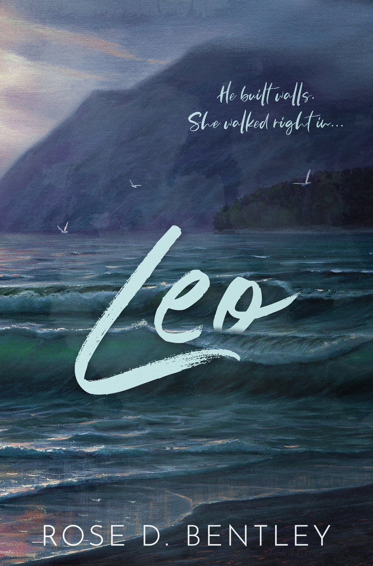 Cover of Leo