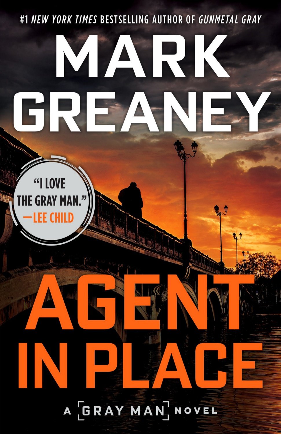 Cover of Agent in Place