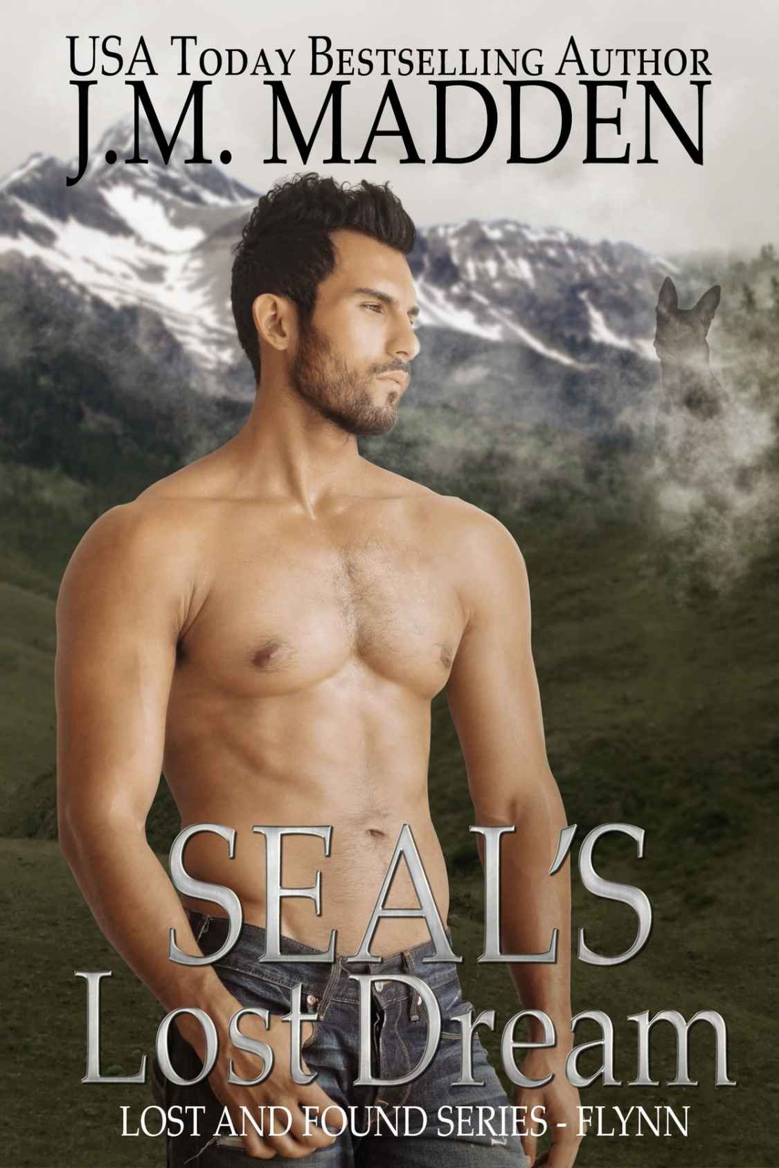 Cover of SEAL's Lost Dream (2014)