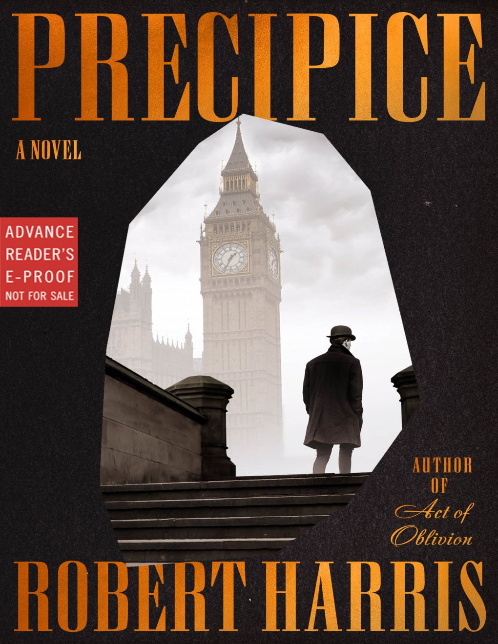 Cover of Precipice