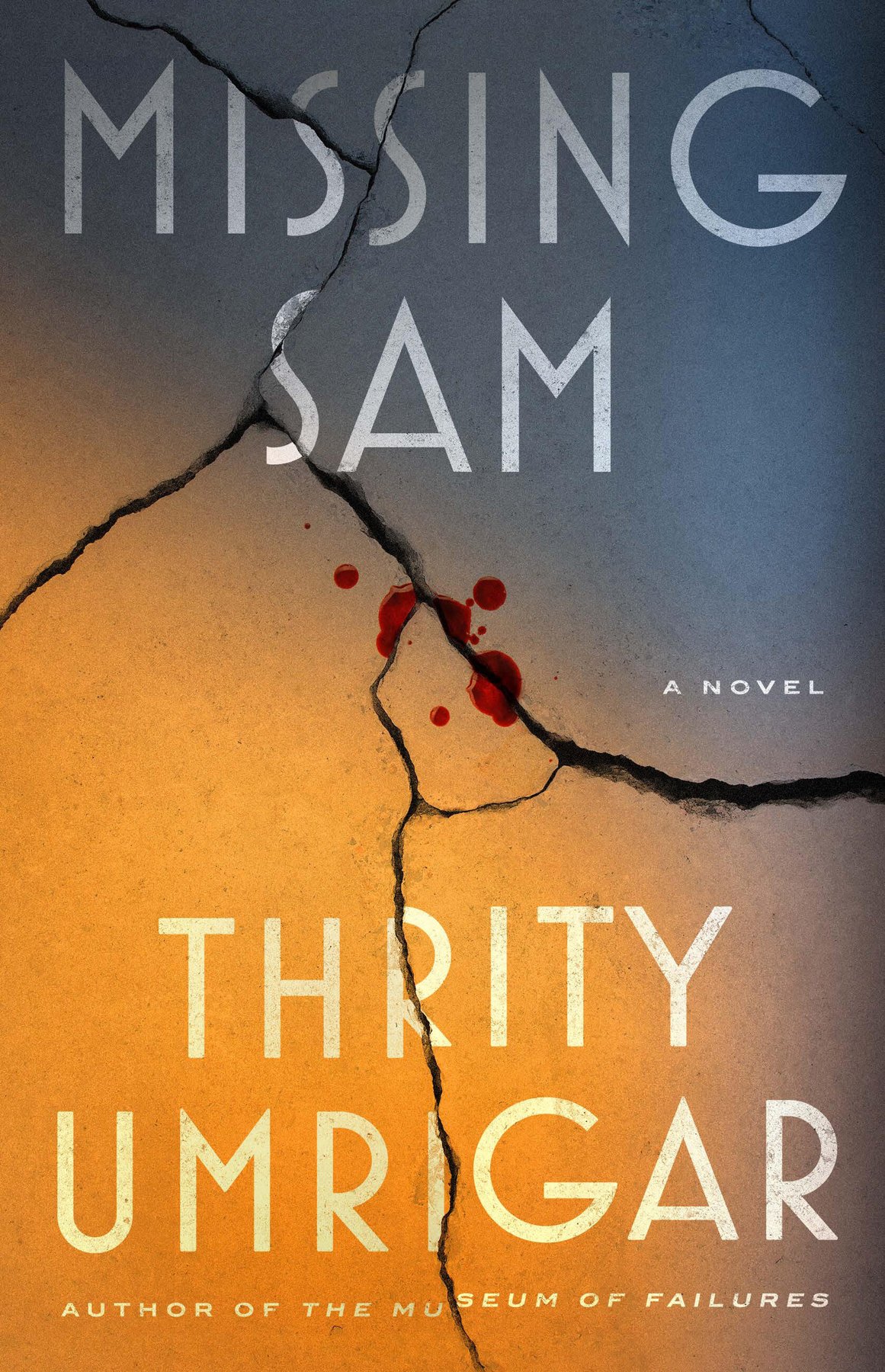 Cover of Missing Sam
