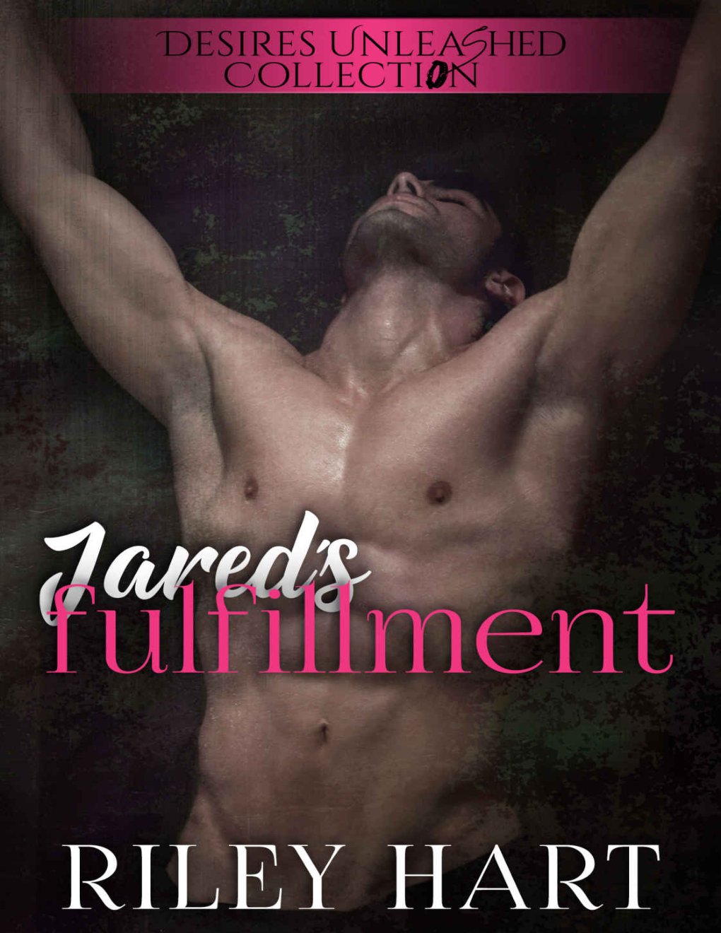 Cover of Jared's Fulfillment (Jared & Kieran Book 2)