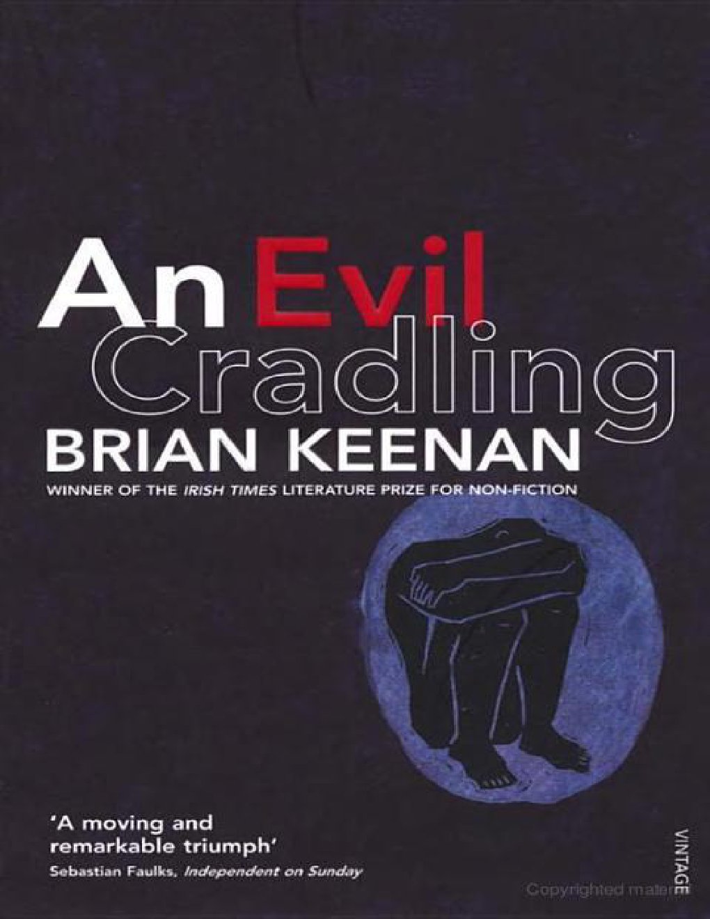 Cover of An Evil Cradling