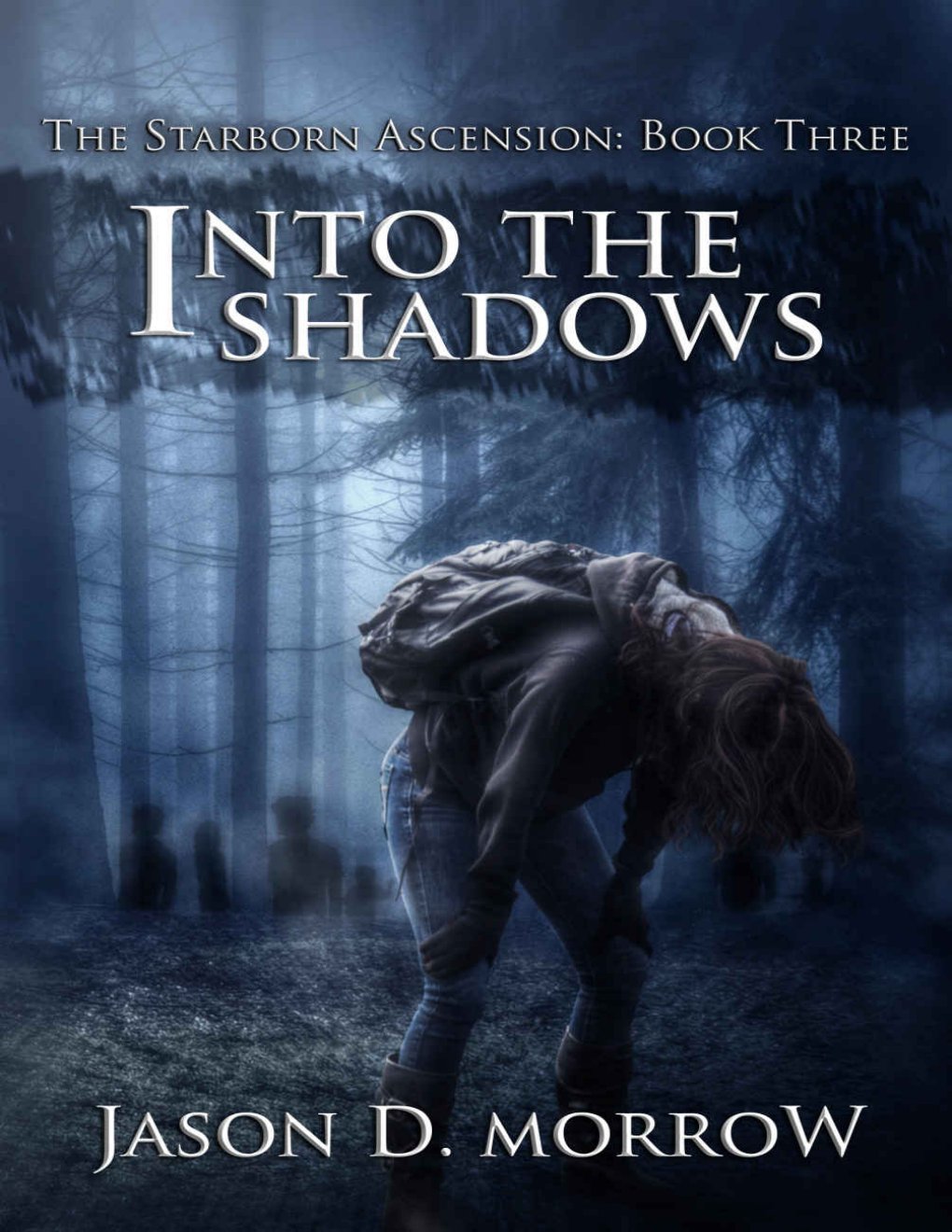 Cover of Into the Shadows
