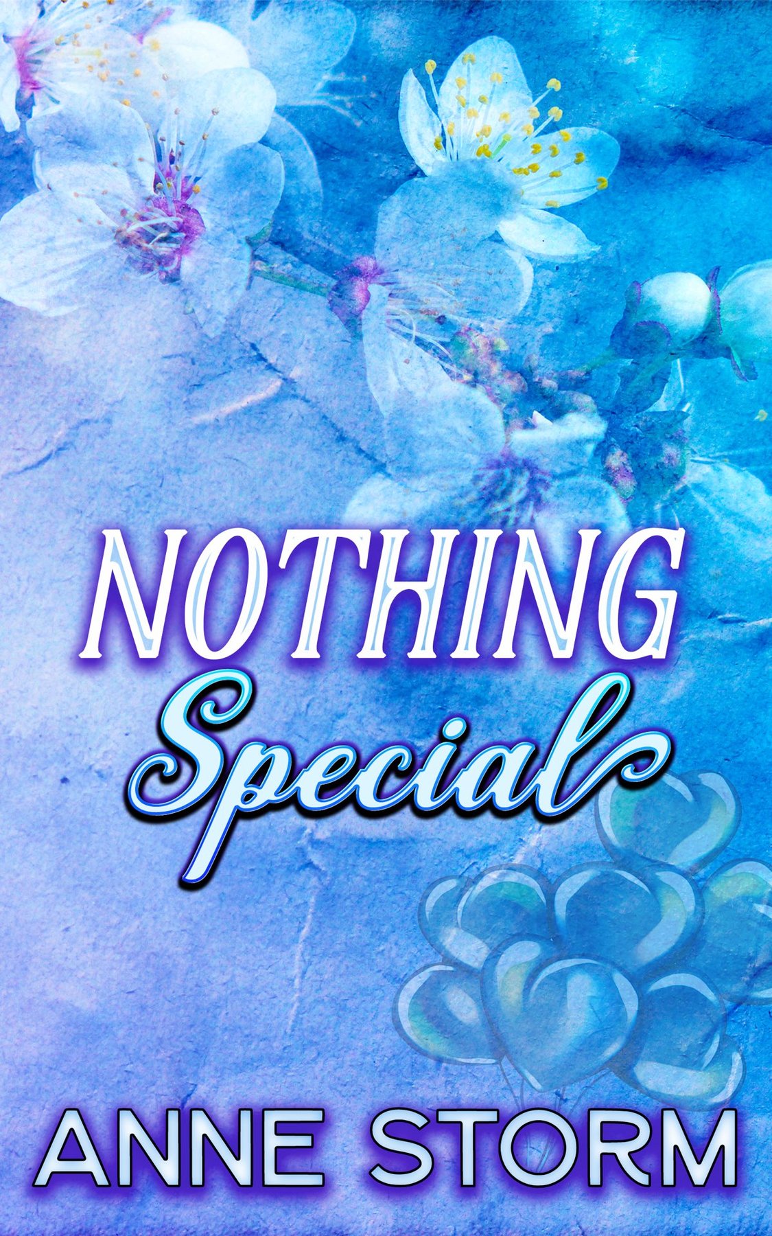 Cover of Nothing Special