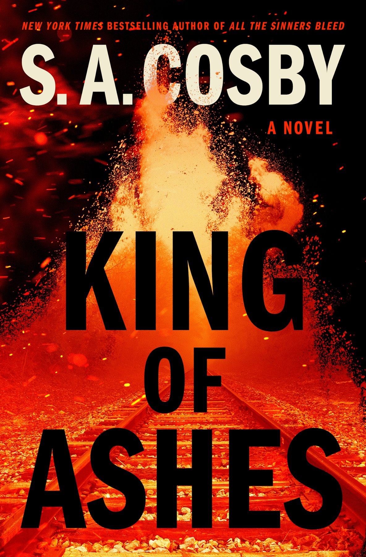 Cover of King of Ashes