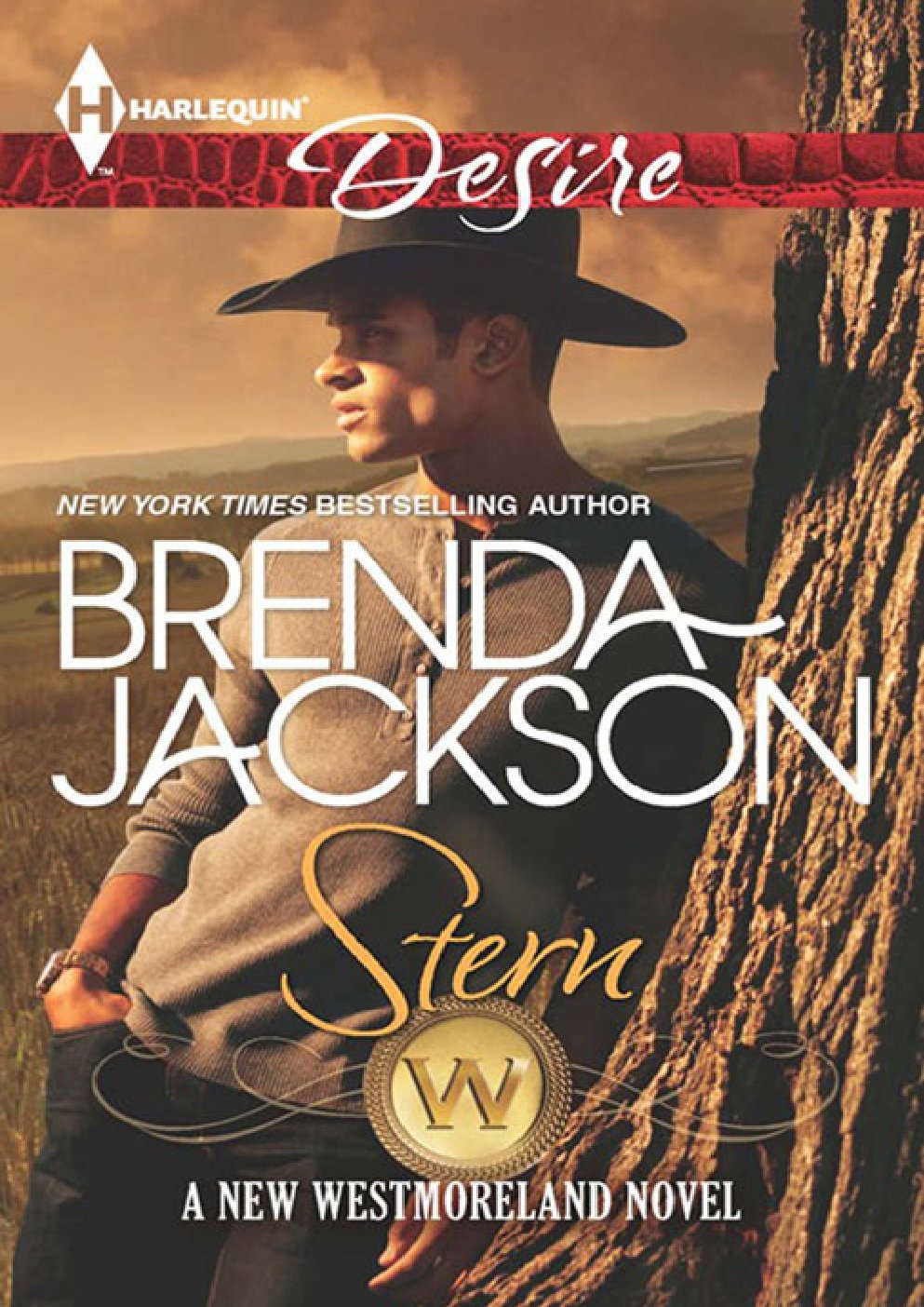 Cover of Stern