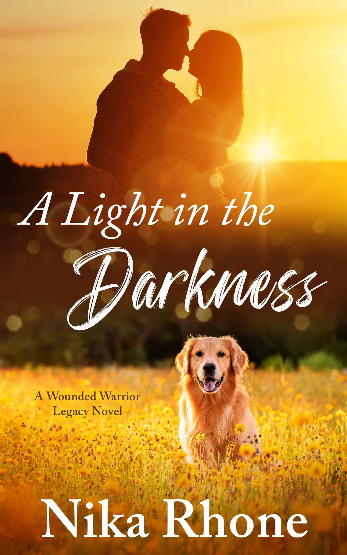 Cover of A Light in the Darkness